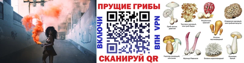 Галлюциногенные грибы Magic Shrooms  продажа наркотиков  Чёрмоз 